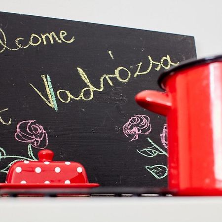 Vadrozsa Vendeghaz Racalmas Guest House Екстериор снимка