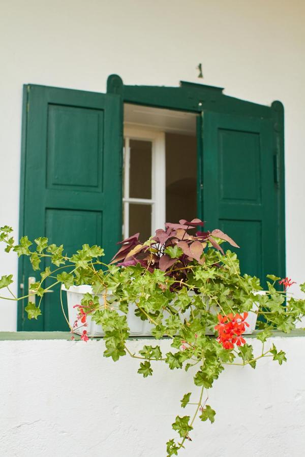 Vadrozsa Vendeghaz Racalmas Guest House Екстериор снимка