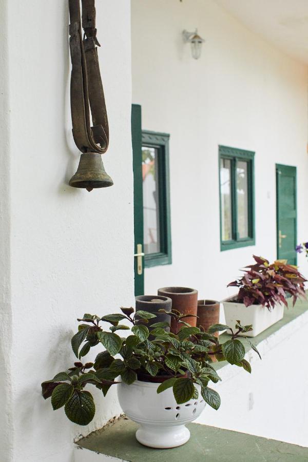 Vadrozsa Vendeghaz Racalmas Guest House Екстериор снимка